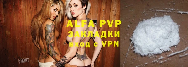 шишки Абаза