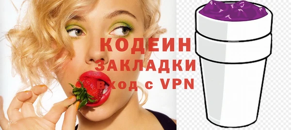 шишки Абаза