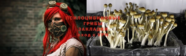 не бодяженный Абдулино