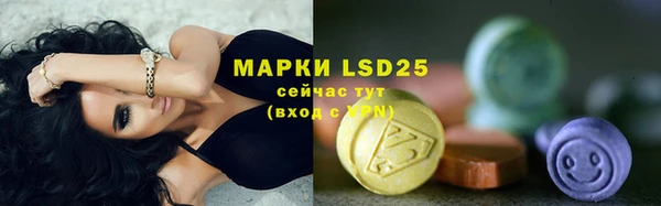 шишки Абаза