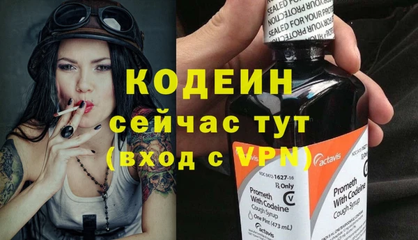 молекула духа Майский