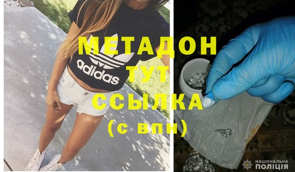 шишки Абаза