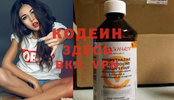 шишки Абаза