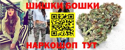 jwh Кингисепп