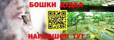 jwh Кингисепп
