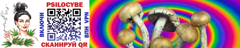 Псилоцибиновые грибы MAGIC MUSHROOMS  что такое   Комсомольск-на-Амуре 