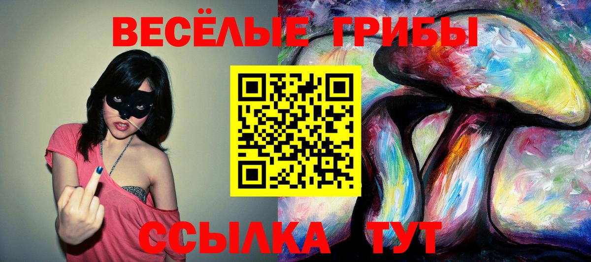 Псилоцибиновые грибы прущие грибы Комсомольск-на-Амуре
